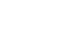 F2M – Servicios de TI e IA